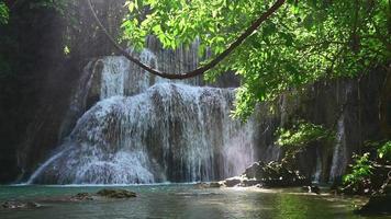 Beautiful waterfall in tropical rain forest video