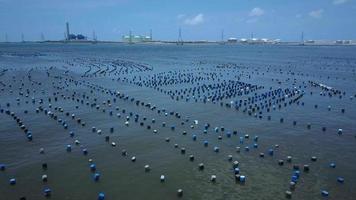 rijen aquacultuurboeien die netten vasthouden video