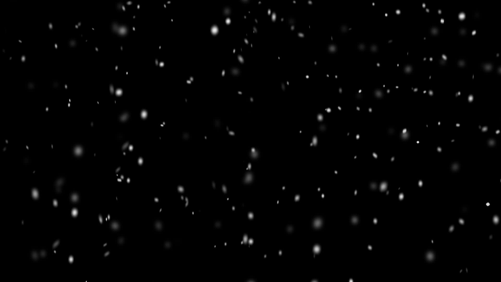 Tận hưởng vẻ đẹp của cảnh tuyết rơi trên nền đen thông qua video stock đẹp mắt này. Sẽ cảm thấy thoải mái và thư giãn khi đưa bộ phim của bạn lên màn hình.