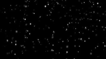 sneeuw die op een zwarte achtergrond valt video