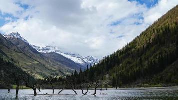 montanha no parque nacional de siguniang, sichuan. video