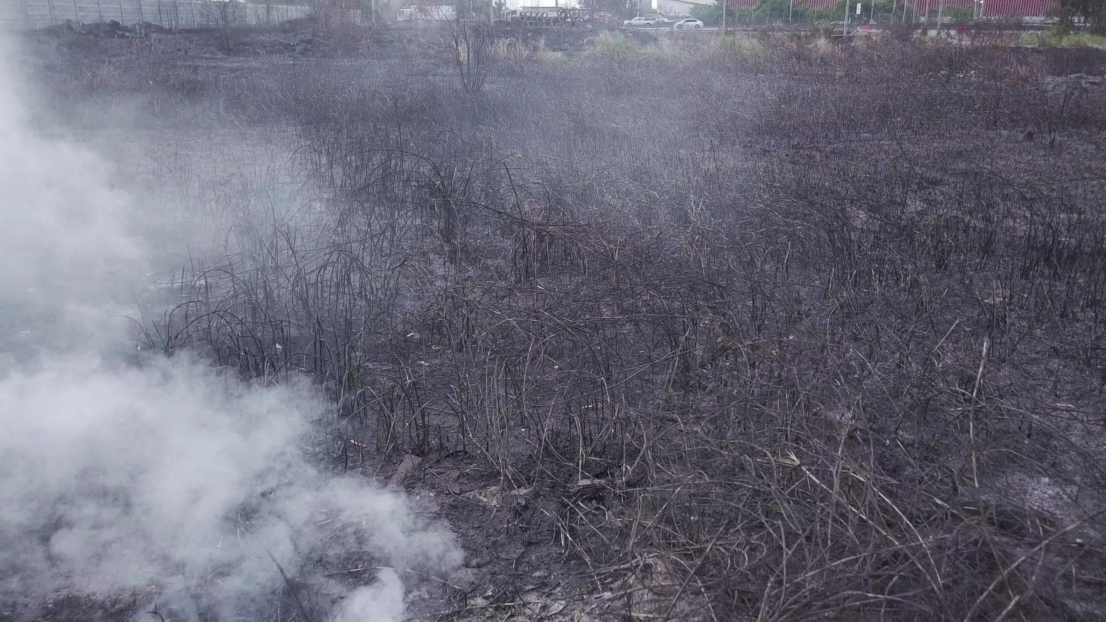 Burning Grass Stock Video Footage for Free Download