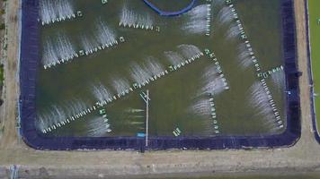 Shrimp farms aerial shot video