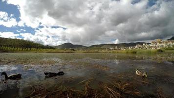 shangri-la, yunnan, cina paesaggio urbano dal lago video