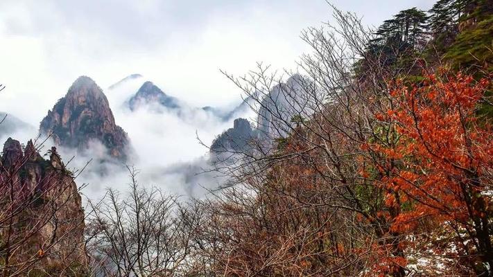 花崗岩影片