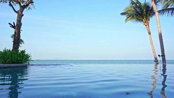 Outdoor swimming pool and palm trees video