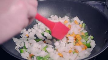 Kochen gesundes Gemüse unter Rühren zu Hause braten video