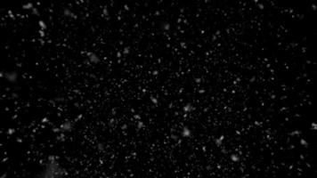 Falling Snow Isolated On A Black Background video