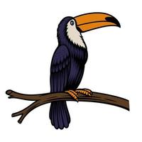 A vector illustration of a toucan parrot