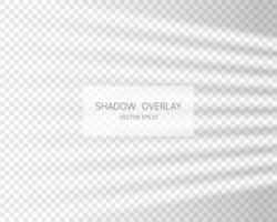 Shadow overlay effect. Natural shadows from window isolated vector