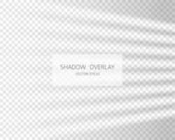 Shadow overlay effect. Natural shadows from window isolated vector