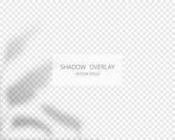 Shadow overlay effect. Natural shadows isolated vector