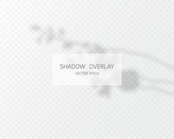 Shadow overlay effect. Natural shadows isolated vector