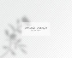 Shadow overlay effect. Natural shadows isolated on transparent vector