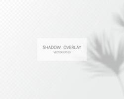 Shadow overlay effect. Natural shadows isolated vector