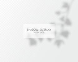 Shadow overlay effect. Natural shadows isolated vector