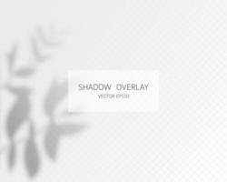 Shadow overlay effect. Natural shadows isolated vector