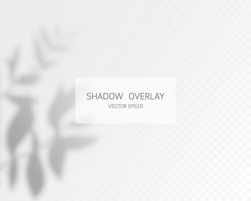 Shadow overlay effect. Natural shadows isolated