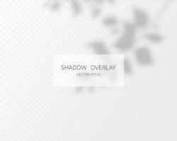 Shadow overlay effect. Natural shadows isolated vector