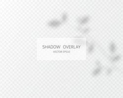 Shadow overlay effect. Natural shadows isolated vector