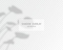 Shadow overlay effect. Natural shadows isolated vector