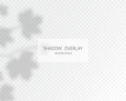 Shadow overlay effect. Natural shadows isolated vector