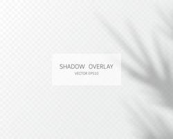 Shadow overlay effect. Natural shadows isolated vector