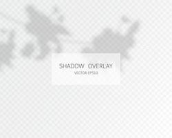 Shadow overlay effect. Natural shadows isolated vector