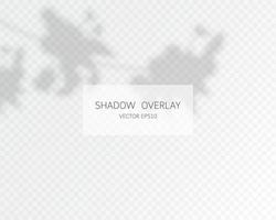 Shadow overlay effect. Natural shadows isolated vector