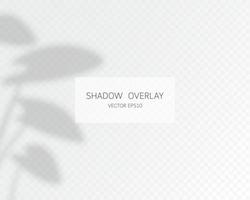 Shadow overlay effect. Natural shadows isolated vector