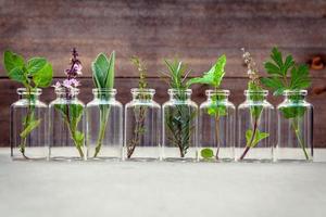 Herbs in glass bottles photo
