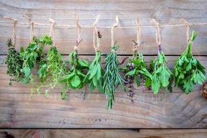 Hanging herbs to dry photo