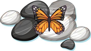 Top view of butterfly on a stone on white background vector