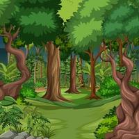 escena del bosque con muchos arboles. vector