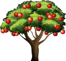 Apple tree isolated on white background vector