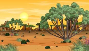 paisaje de bosque africano al atardecer vector