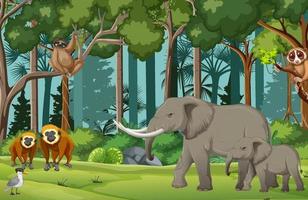 Rainforest scene with wild animals vector