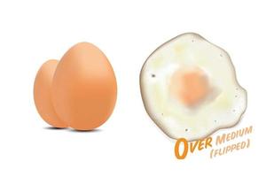 Fried eggs flipped with raw eggs picture, in  over medium basic style level of doneness, vector illustration on white background.