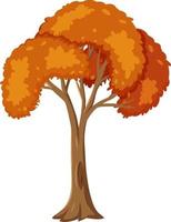 Árbol de otoño aislado sobre fondo blanco. vector