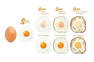 Fried eggs with raw egg picture, in basic style level of doneness set Flipped and not flipped vector illustration on white background.