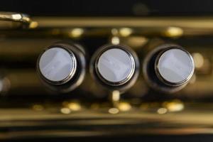 Close up on trumpet valves photo