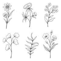 colección de hierbas y flores silvestres y hojas aisladas sobre fondo blanco. vector