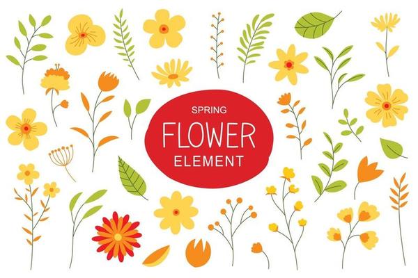 Flowers and leaves in spring season. Simple design elements with spring flowers set.