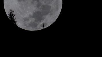 de volle maan valt achter phra that doi suthep. hoge snelheid 3.5x. video