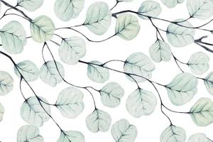 Pattern of eucalyptus leaves drawn with watercolor vector