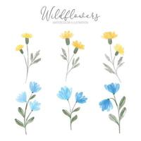 watercolor wildflower floral illustration collection vector