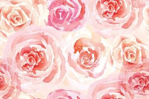 Rose seamless pattern with watercolor vector