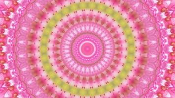 Abstract Kaleidoscope Background with Floral Pattern video