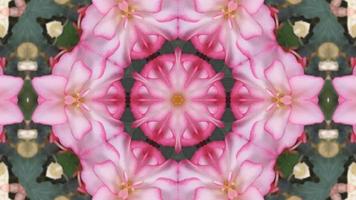 Abstract Pink Texture Kaleidoscope Background video