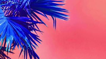 Abstract Background with Neon Flashes and Palm Leaves video